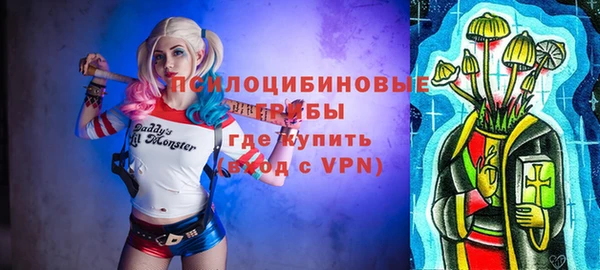 ГАЛЛЮЦИНОГЕННЫЕ ГРИБЫ Козельск