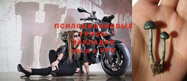 ГАЛЛЮЦИНОГЕННЫЕ ГРИБЫ Козельск