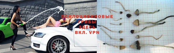 спиды Козловка