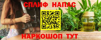 стаф Нальчик