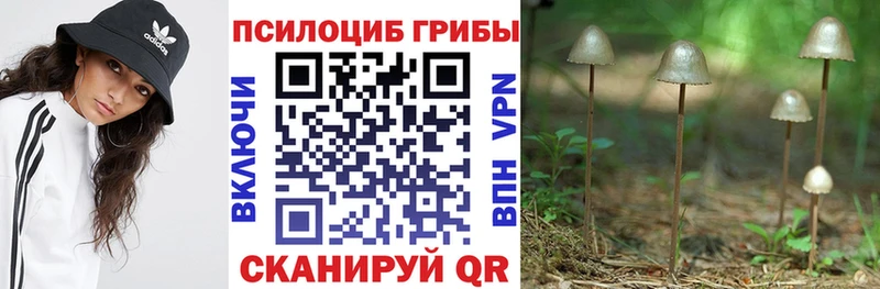 дарнет шоп Липецк Псилоцибиновые грибы мухоморы